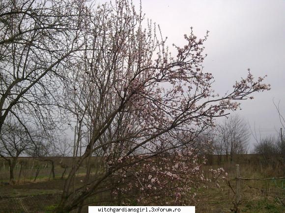 Arta de a picta - Mie imi place foarte foarte mult sa pictez...este - Stiluri,poze,teme si jocuri
